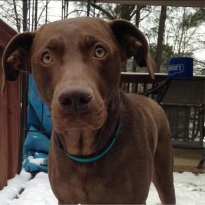 Meet your Posher, Jennifer